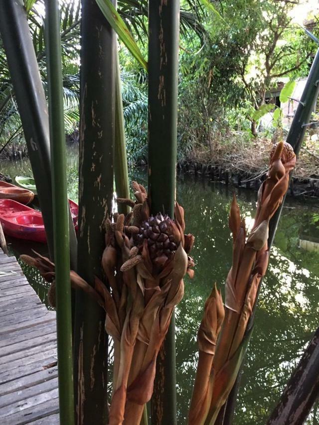 Hotel Baan Glangsuan Bang Kobua à Bang Chak Extérieur photo
